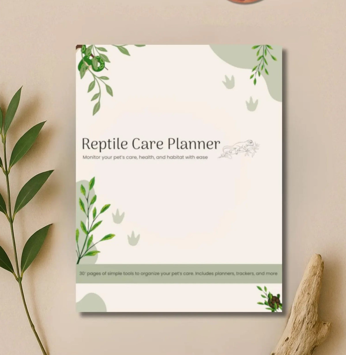 Preview of pages included in the Reptile Care Planner, Full Color