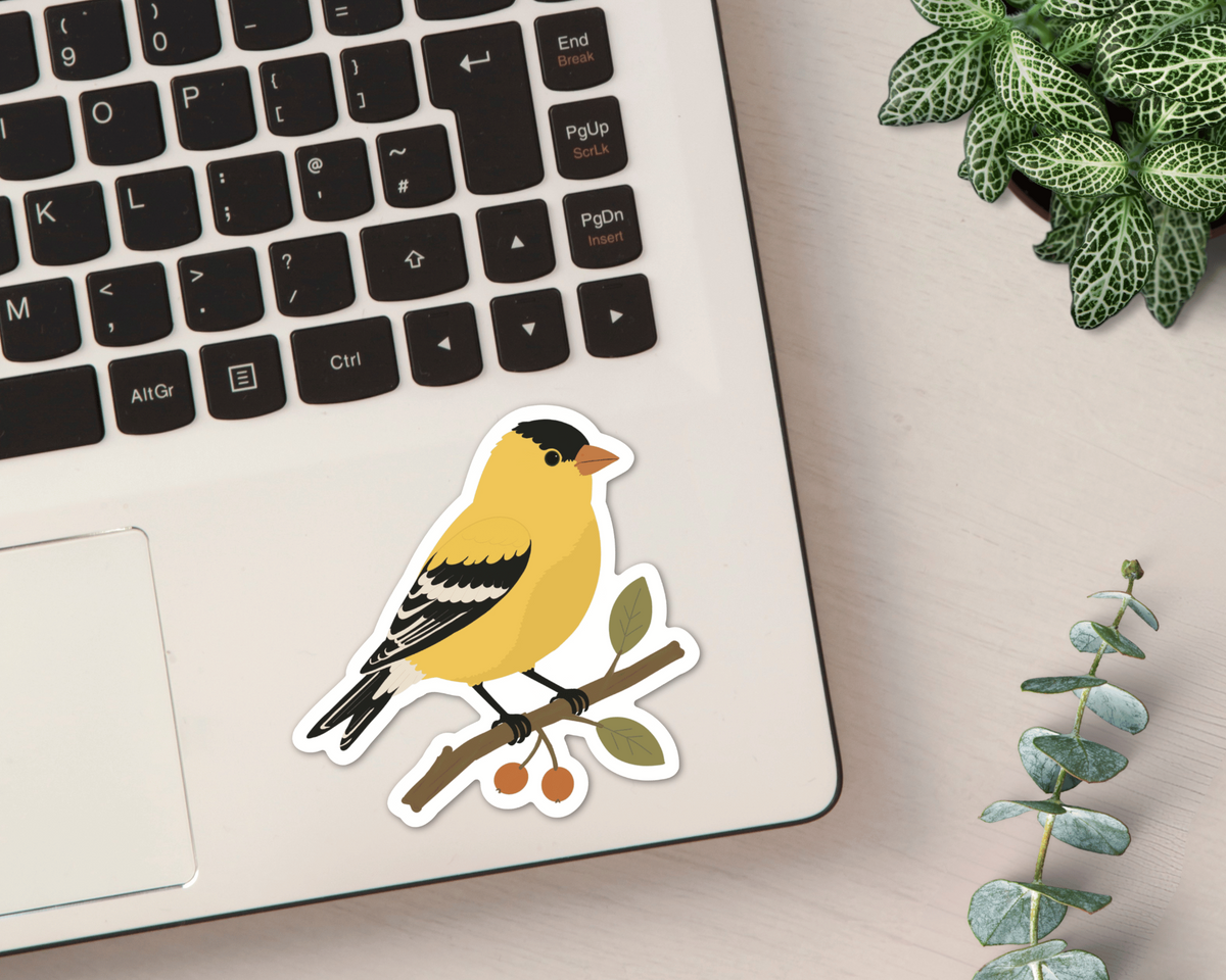 American Goldfinch vinyl sticker shown on a laptop