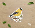 American Goldfinch die-cut vinyl sticker perched on a botanical berry branch
