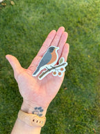 American Robin sticker resting in an open palm outdoors against green grass