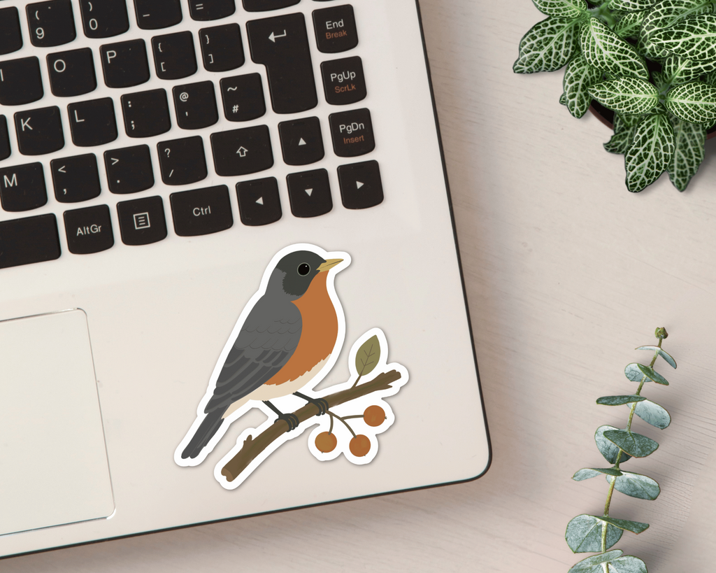 American Robin vinyl sticker shown on a laptop