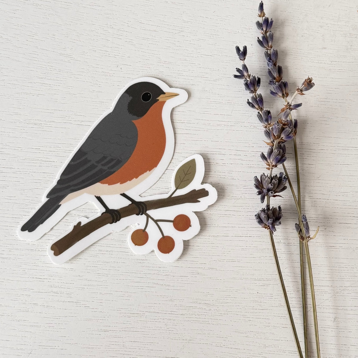 American Robin sticker on white wood beside dried lavender