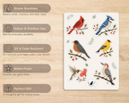 Backyard Birds sticker sheet features including water resistance, indoor and outdoor use, UV resistance, matte finish and gift for nature lovers