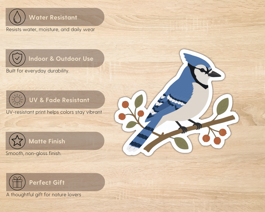 Blue Jay sticker features including water resistance, indoor and outdoor use, UV resistance, matte finish and gift for nature lovers