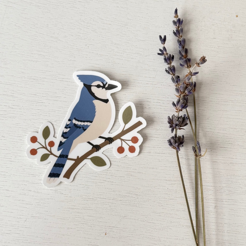 Blue Jay sticker on white wood beside dried lavender