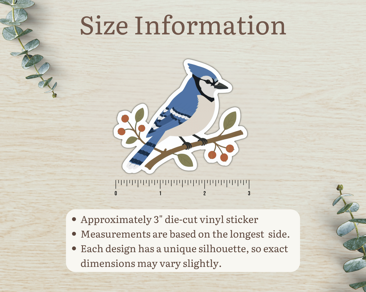 Size information for approximately 3 inch Blue Jay die-cut vinyl sticker