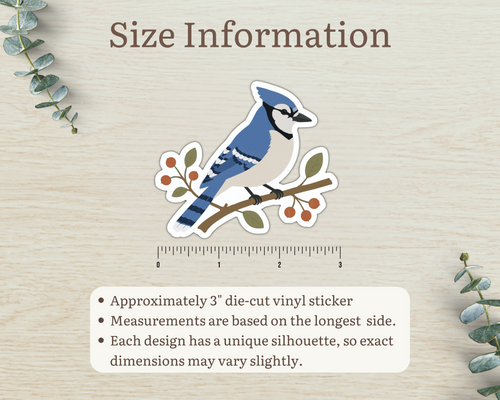Size information for approximately 3 inch Blue Jay die-cut vinyl sticker