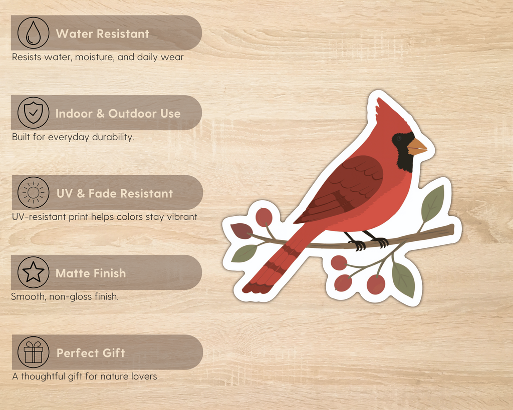 Northern Cardinal sticker features including water resistance, indoor and outdoor use, UV resistance, matte finish and gift for nature lovers