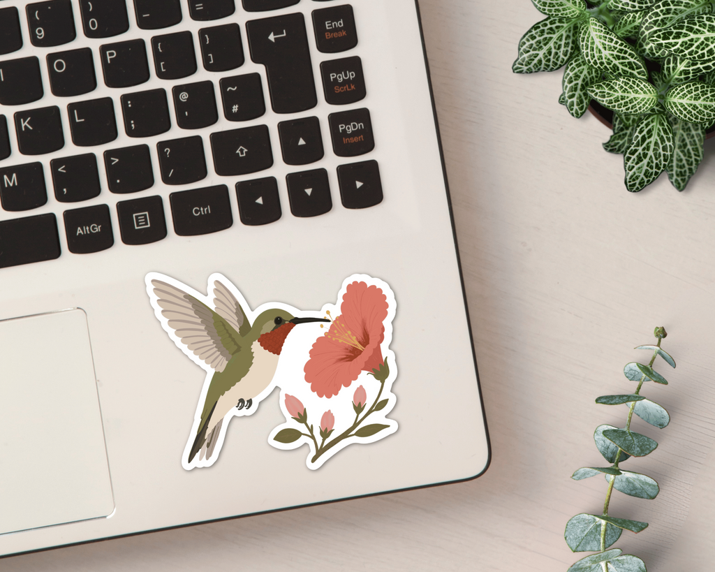 Ruby-throated Hummingbird vinyl sticker shown on a laptop