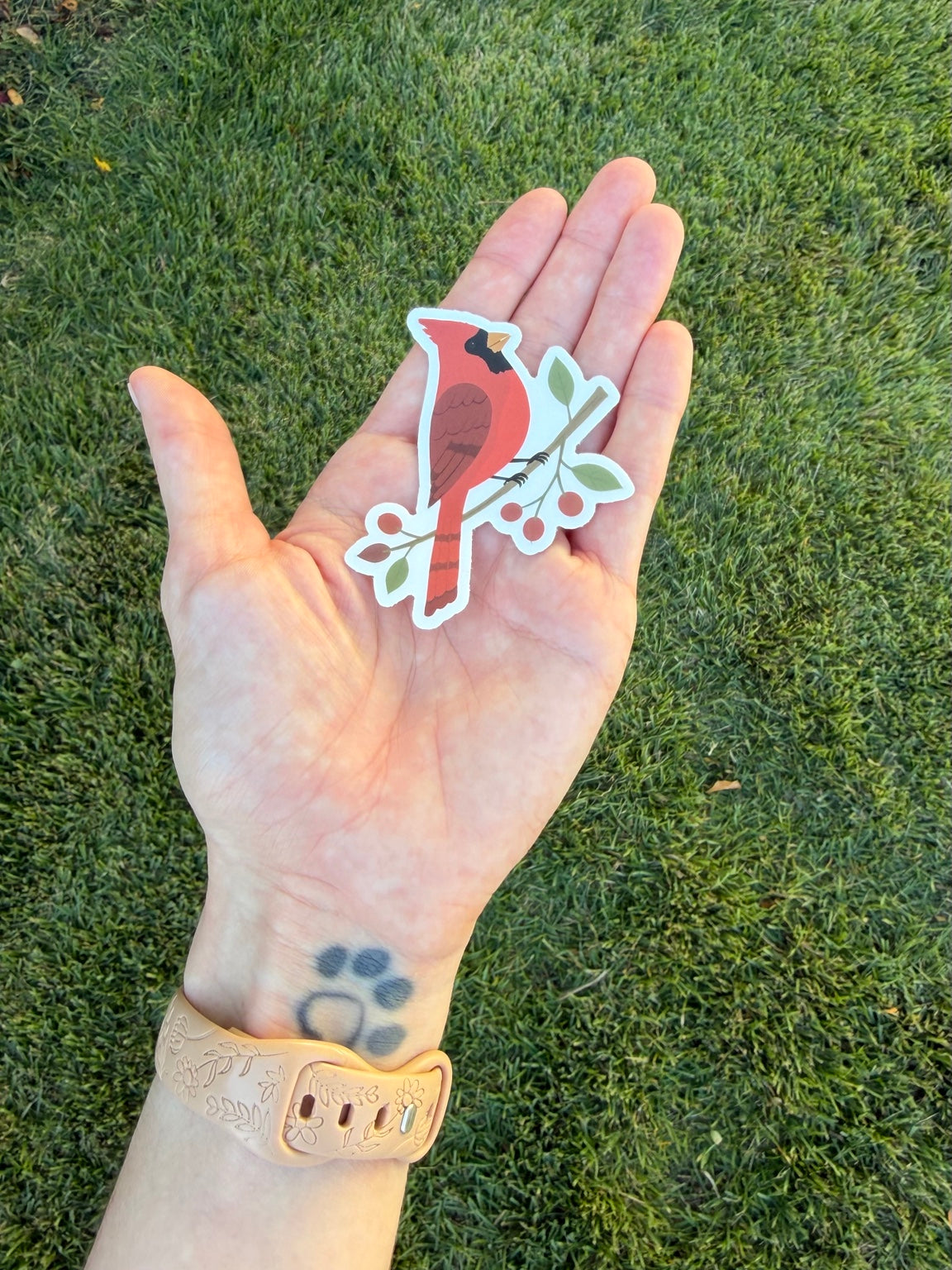 Northern Cardinal sticker resting in an open palm outdoors against green grass
