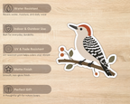 Red-bellied Woodpecker sticker features including water resistance, indoor and outdoor use, UV resistance, matte finish and gift for nature lovers