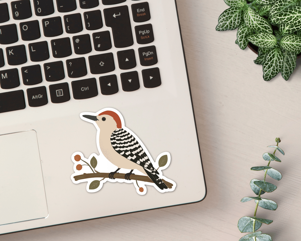 Red-bellied Woodpecker vinyl sticker shown on a laptop