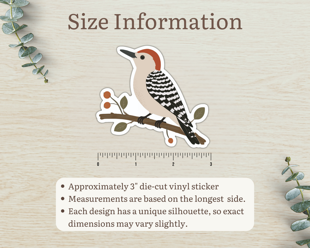 Size information for approximately 3 inch Red-bellied Woodpecker die-cut vinyl sticker