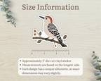 Size information for approximately 3 inch Red-bellied Woodpecker die-cut vinyl sticker