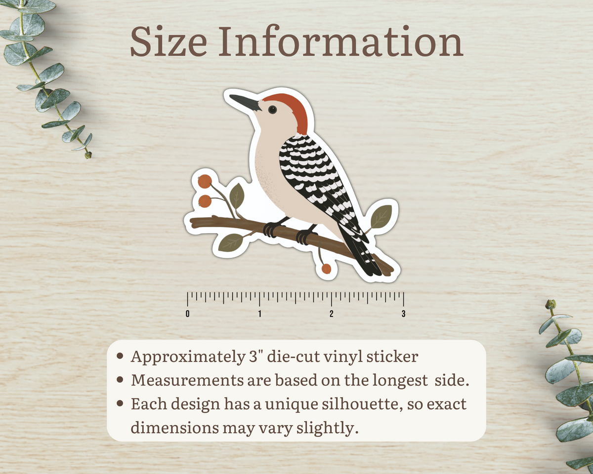 Size information for approximately 3 inch Red-bellied Woodpecker die-cut vinyl sticker