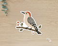 Red-bellied Woodpecker die-cut vinyl sticker perched on a botanical berry branch