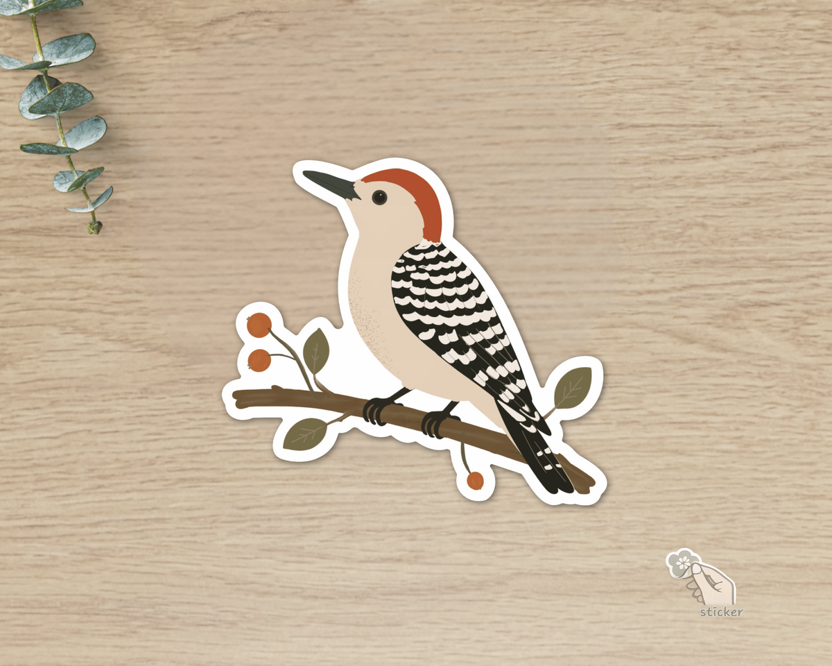 Red-bellied Woodpecker die-cut vinyl sticker perched on a botanical berry branch
