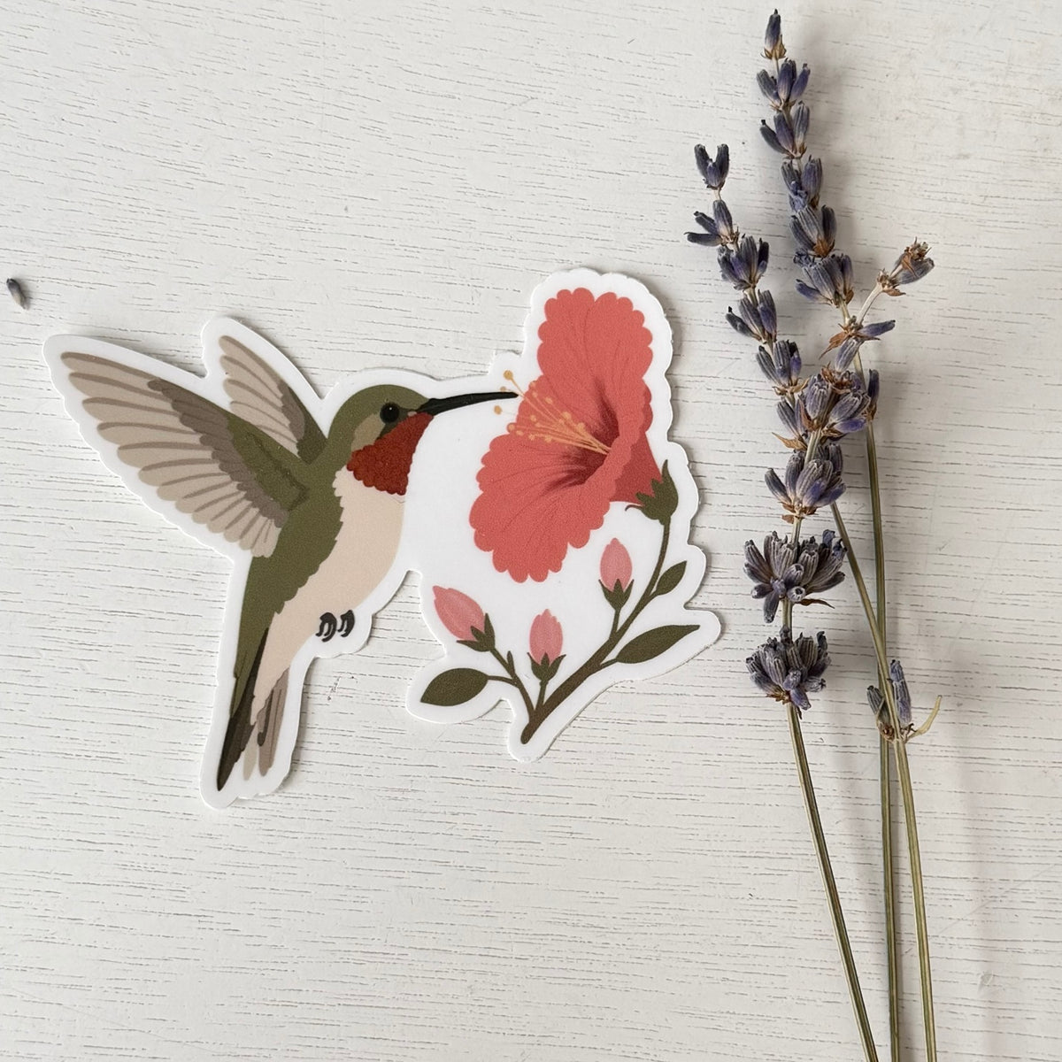 Ruby-throated Hummingbird sticker with a pink hibiscus flower on white wood beside dried lavender